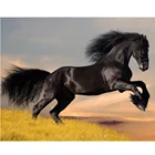 5D алмазная живопись сделай сам, полные круглые бусины, вышивка, Черная лошадь, Алмазная мозаика стразы, картина, вышивка крестиком, животное, домашний декор