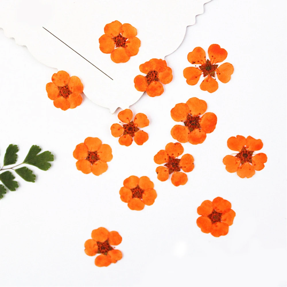 

Искусственный цветок для макияжа, тиснение, лепестки для ногтей, Вечные лепестки, многоцветный инструмент «сделай сам», фото, маникюр, сушен...