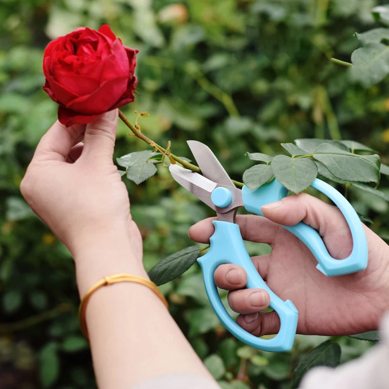 

Floral Scissors Rose Flower Pruning Shears Stainless Steel Labor-saving Modification Plant Potted Gardening Pruning Tool