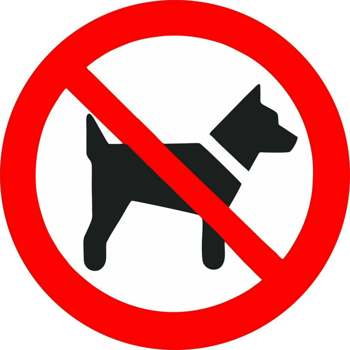 

Sticker decal vinyl car bike bumber no dog forbbiden prohibited