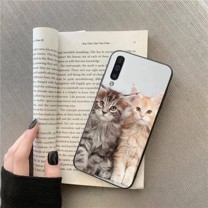 

cat pet maine coon animal universal Phone Case For Samsung galaxy S 9 10 20 A 10 21 30 31 40 50 51 71 s note 20 j 4 2018 plus