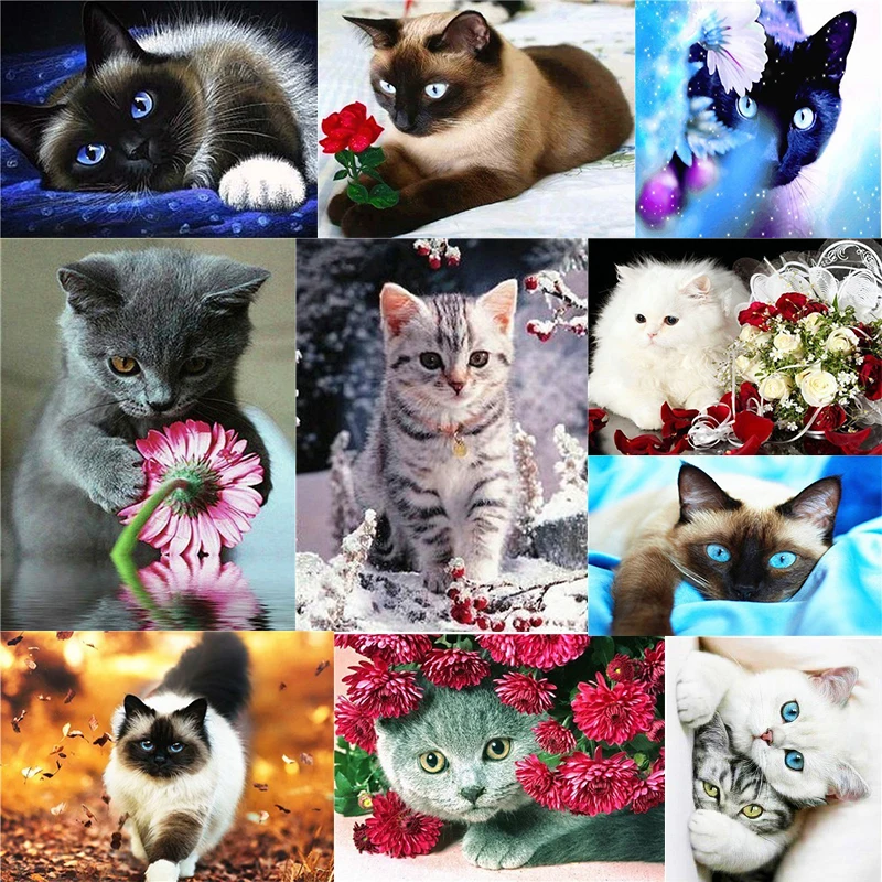 

Zhui star DIY diamond painting cat cross stitch needlework rhinestone mosaic 5D diamond embroidery home decoration WDY