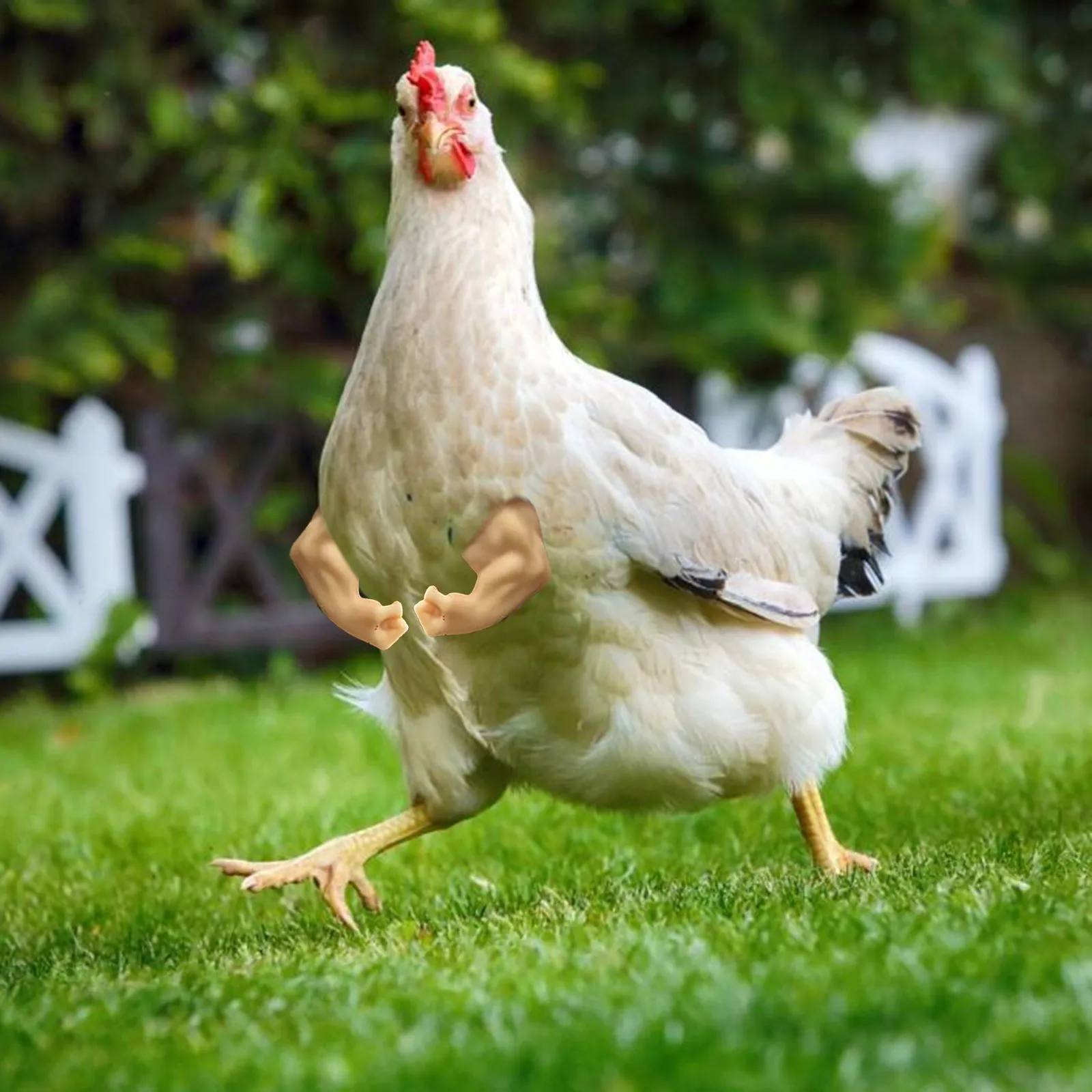 

Chicken Toy Gag Gift Wearing Artificial Dinosaur Arms Sword Props Pet Themed Party Funny Bird Decor Pet Supplies For Poultry