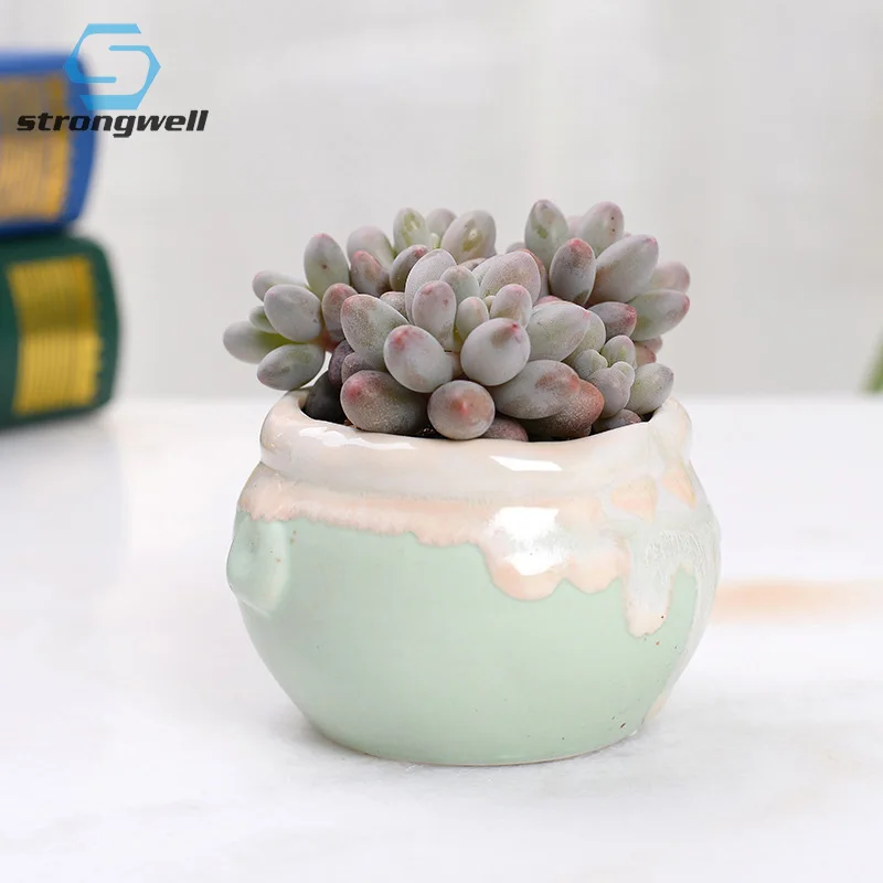 Strongwell домашнее украшение миниатюрная модель цветочных горшков потоковая