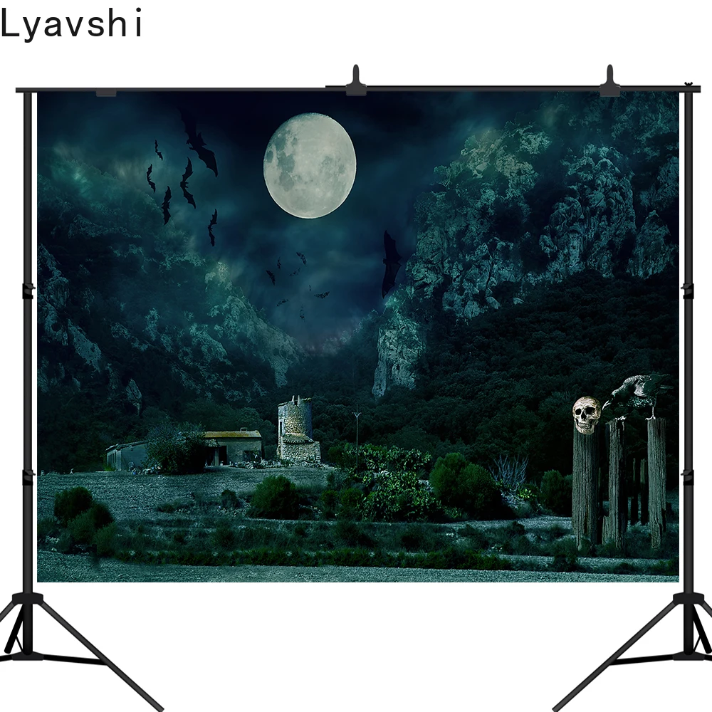 

Lyavshi Хэллоуин дом фотография Фон Темный страшный ужас мрачный пейзаж Декор баннер фото стенд реквизит