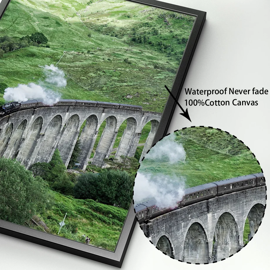 Кактус цветок растение лист шлейф сова Картина на холсте скандинавский постер и