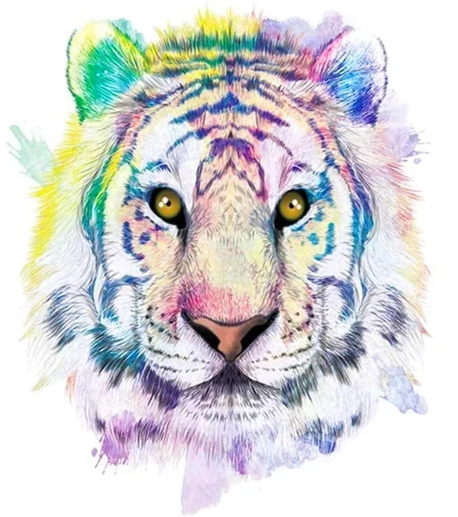 

JMINE Div 5D colorful tiger Full Diamond Painting cross stitch kits art High Quality Animal 3D paint by diamonds