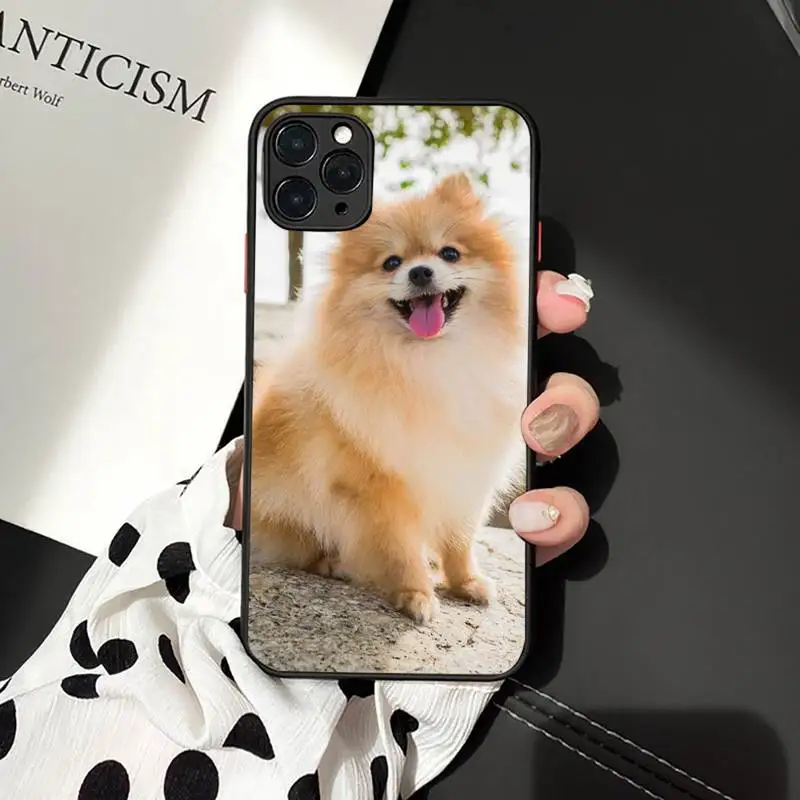 Чехол для телефона с изображением Померанской собаки iphone 12 11 7 8 plus mini x xs xr pro max