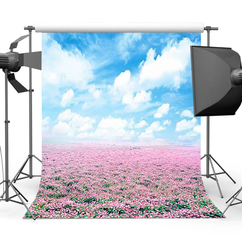 Mocsicka голубое небо белое облако фотография Фон весенний цветок море фото студия