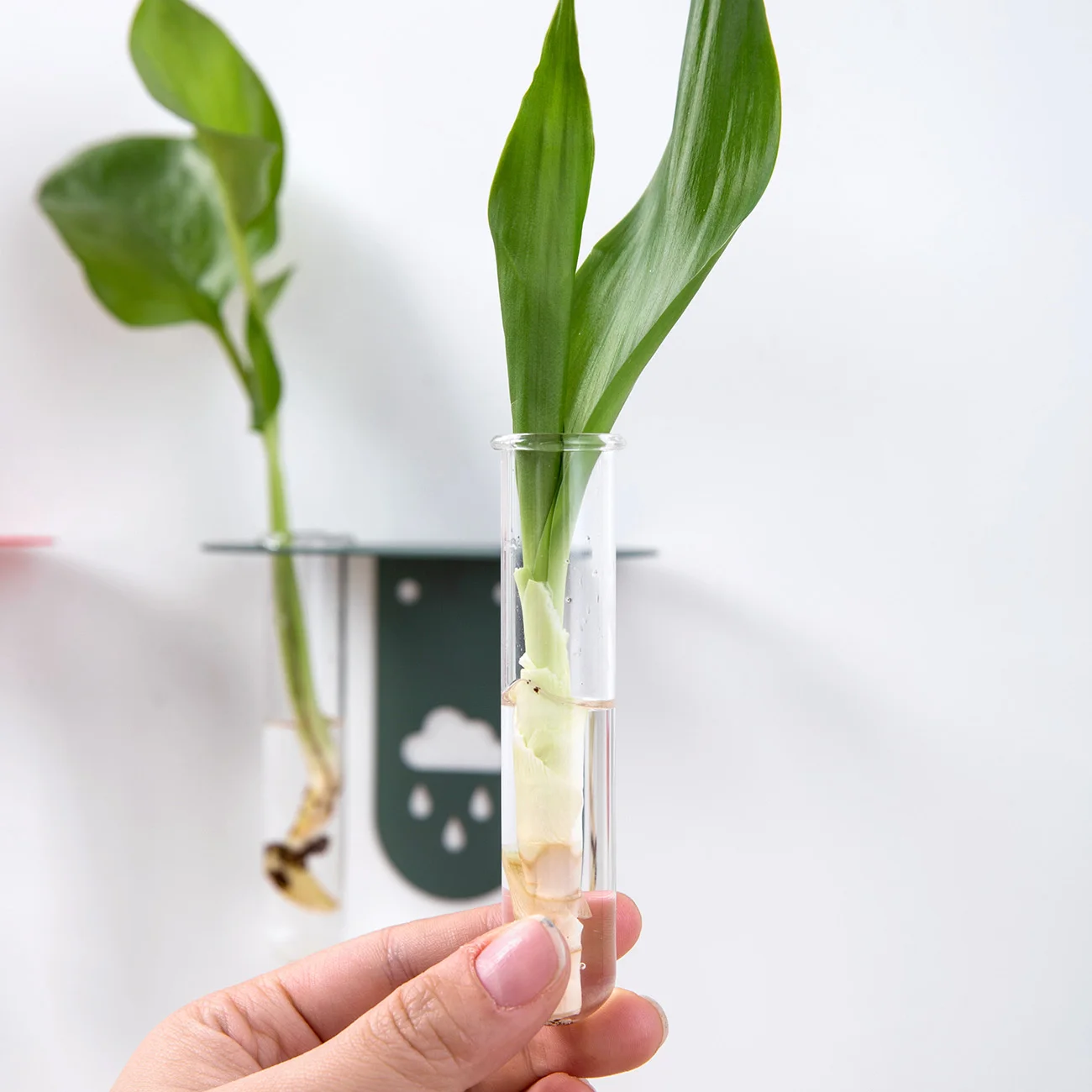 

Hydroponic Plants Nordic Glass Flower Vase Wall Hanging Glass Test Tube Vases For Bedroom Living Room Home Garden Decoration