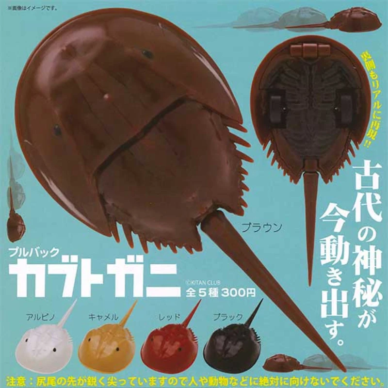 

Japanese Kitan Capsule Toys Gashapon Fossil Marine Sea Creature Model Horseshoe Crab Modelling Pull-back Vehicle Collection Gift