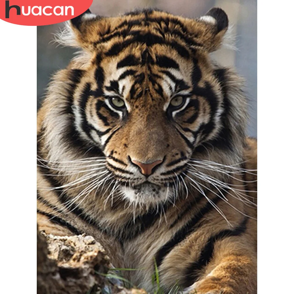 Алмазная вышивка HUACAN 5D сделай сам алмазная живопись с тигром