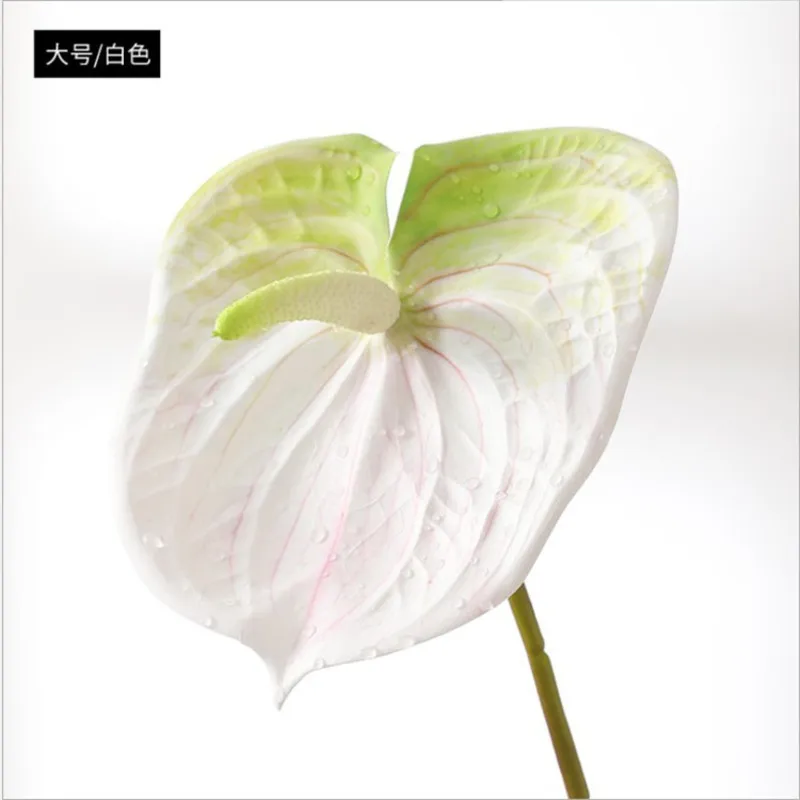 

Simulation of Tropical Green Plant 3d Printing Dahongzhang Green Belt Decoration Garden Landscaping Plant Dahongzhang