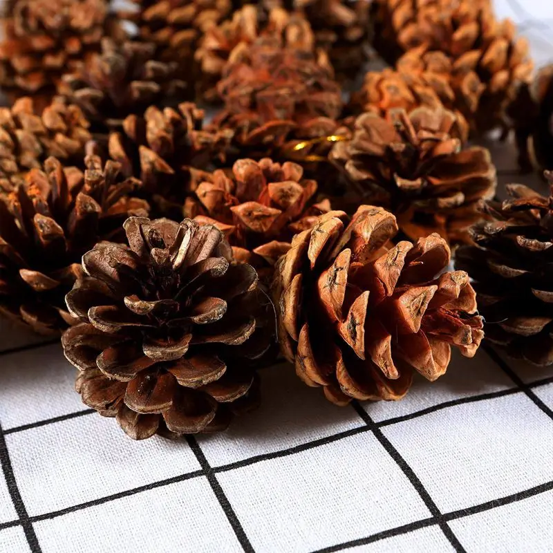 24 шт. сосновые шишки орнамент натуральные PineCones с веревочной подвеской ремесла