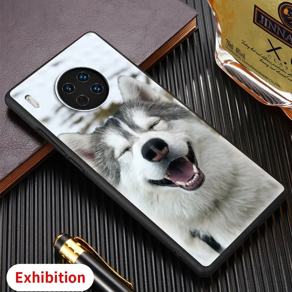 

Huskie Dog Shockproof Phone Case for Huawei Mate 10 20 30E Lite Pro 5G Mate 40 Pro Plus Rs Shell Silicone Fundas