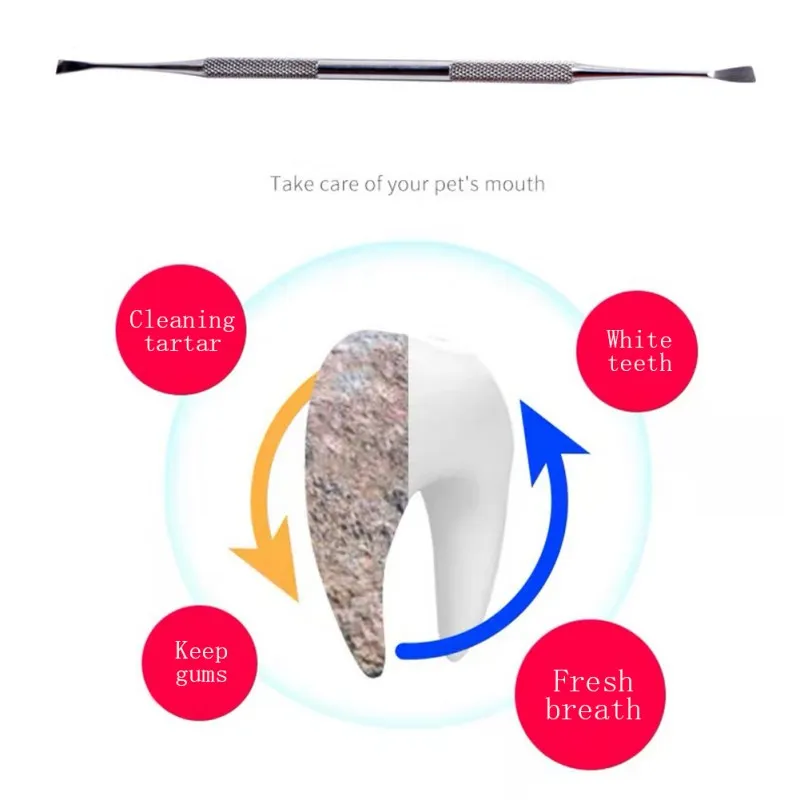 

Stainless Steel Pet Tooth Scraper Double Ended Dental Calculus Removal Tool Tooth Scaler For Dogs And Cats Oral Care Accessories