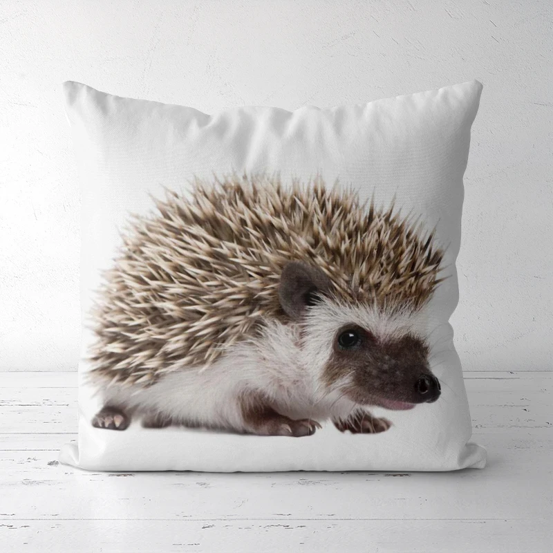 

Can choose size Pillowslip Cotton polyester Cute style Sofa Bed Home Decorative Pillowcases