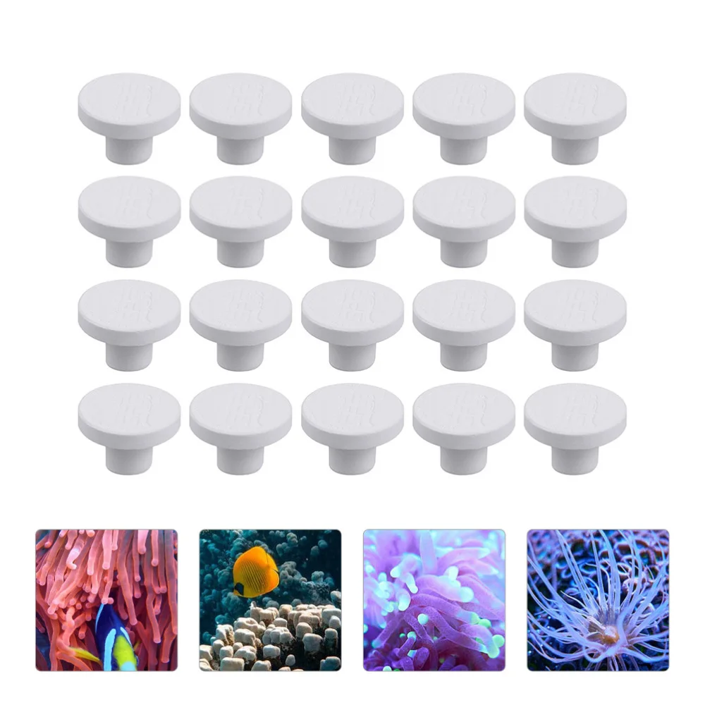 

20pcs Coral Frag Rack Plug Aquarium Coral Reef Coral Ceramic Base Bracket