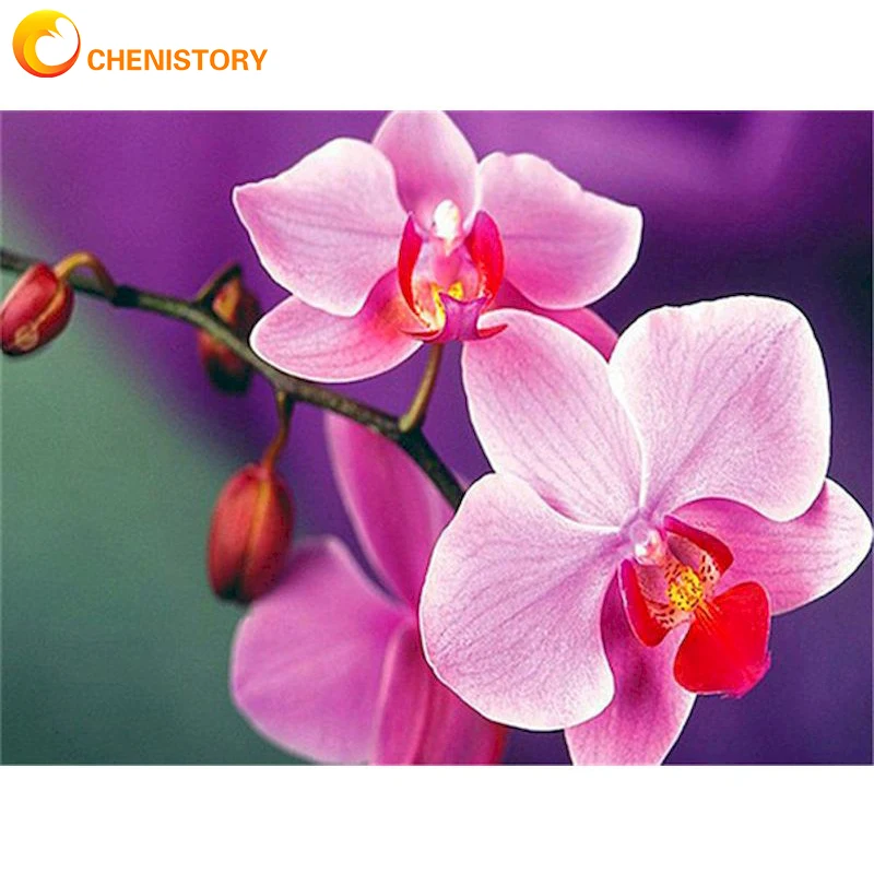 

CHENISTORY DIY Paint By Numbers Pink Flowers Package Acrylic Paints On Canvas Pictures Home Decoration Crafts Adults Drawing Kit
