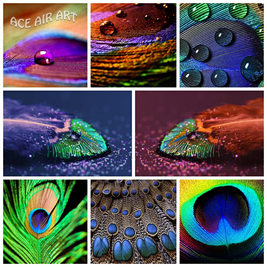 

5D DIY Diamond Painting of Animal Beautiful Peacock Feather Full Round/Square Drills Embroidery Mosaic Art Decoration for Home