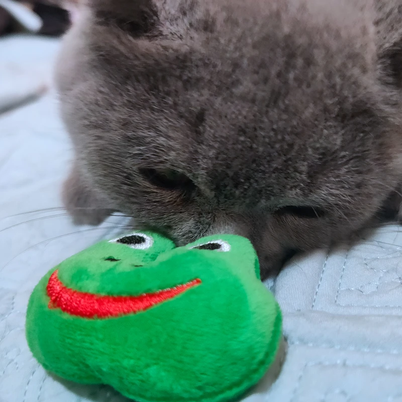 Новая игрушка С Кошачьей Мятой Huggie the grey Mouse забавная для кошек с настоящей внутри