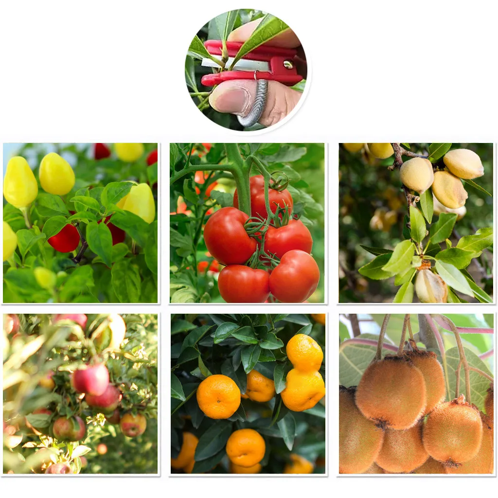 

Multi Thumb Cutter Separator Finger Tools Picking Device For Kitchen/Garden Harvesting Plant Fruit Vegetable Thumb Cutter