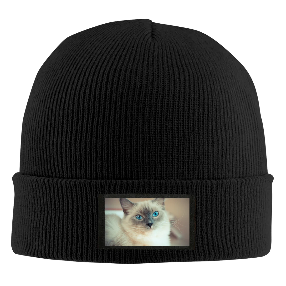 

Cat Men's clothing Women's clothing winter Both men and women cool wool caps outdoor caps