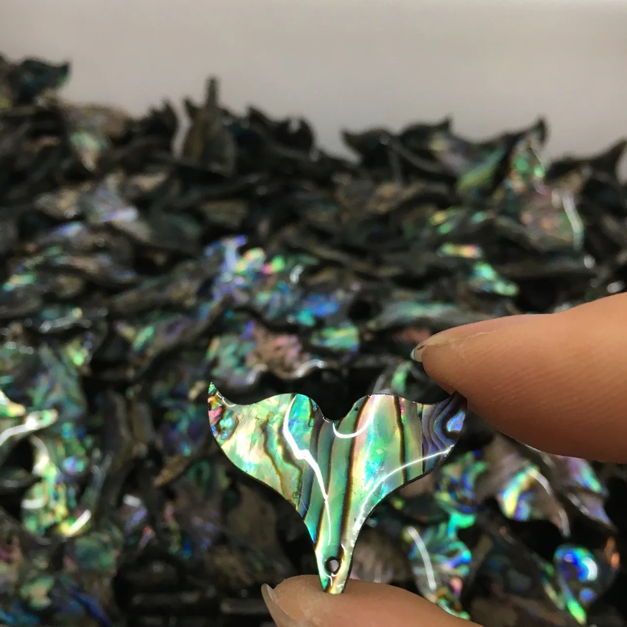 

5PCS Natural Abalone Shell Fish Tail Pendants Charms Mother of Pearl Shell for DIY Jewelry Making 25*20mm Fishtail Seashell Gift