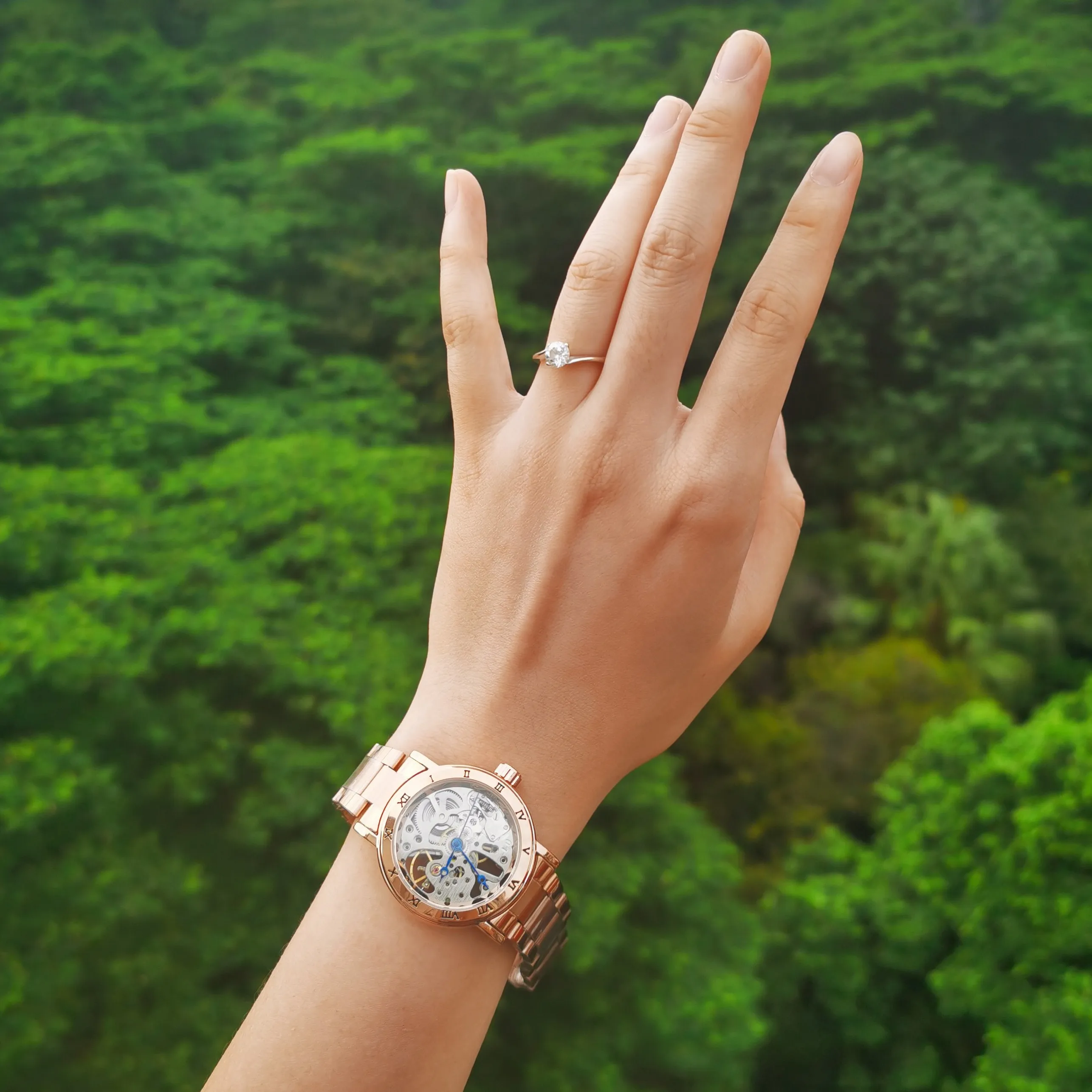 Механические скелет для женщин часы класса люкс римские цифры маленький чехол