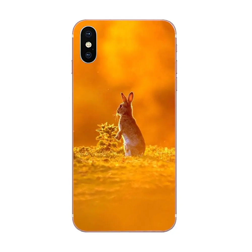 For Samsung Galaxy Note 5 8 9 S3 S4 S5 S6 S7 S8 S9 S10 5G mini Edge Plus Lite Soft TPU Cover Cases Cute White Bunny Rabbit | Мобильные