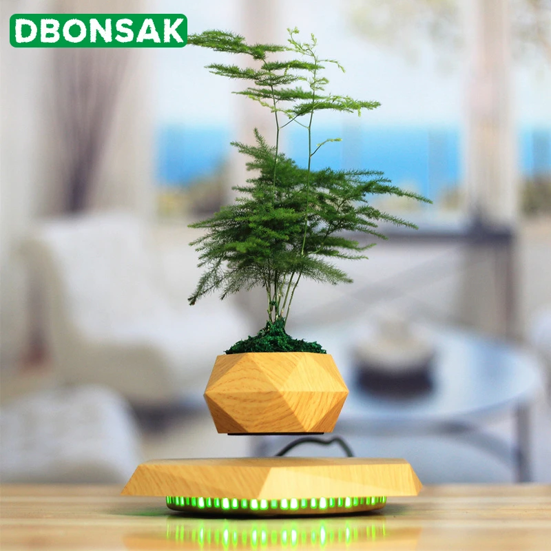 Магнитный цветочный горшок подвесной плавающее растение в горшке