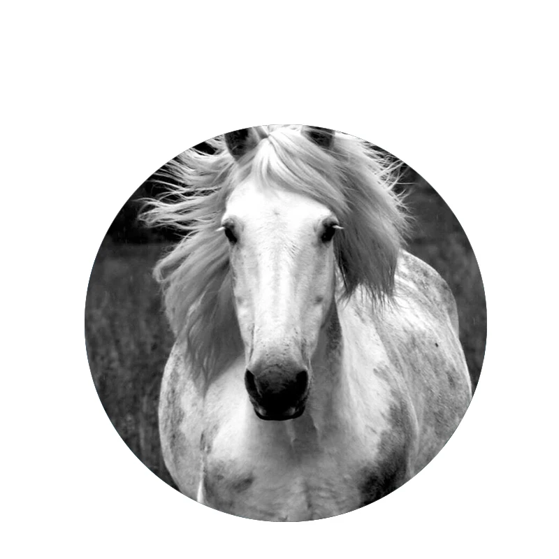 Индивидуальные DIY Телефон складной телефон кронштейн ручка держатель телефона с