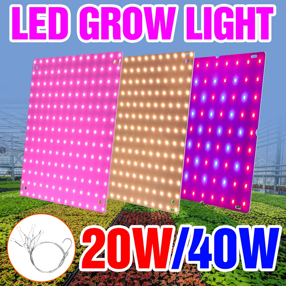 

LED Full Spectrum Grow Light 20W 40W Phyto Lamp 220V Flowers Seeds Growth Bulbs 110V Greenhouse Hydroponic Lights US EU UK Plug