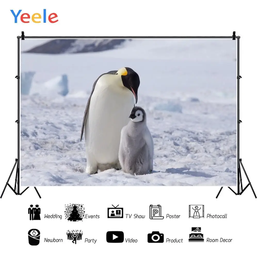 Yeele с изображением антарктических пингвинов Снежный портрет фотографии фоны