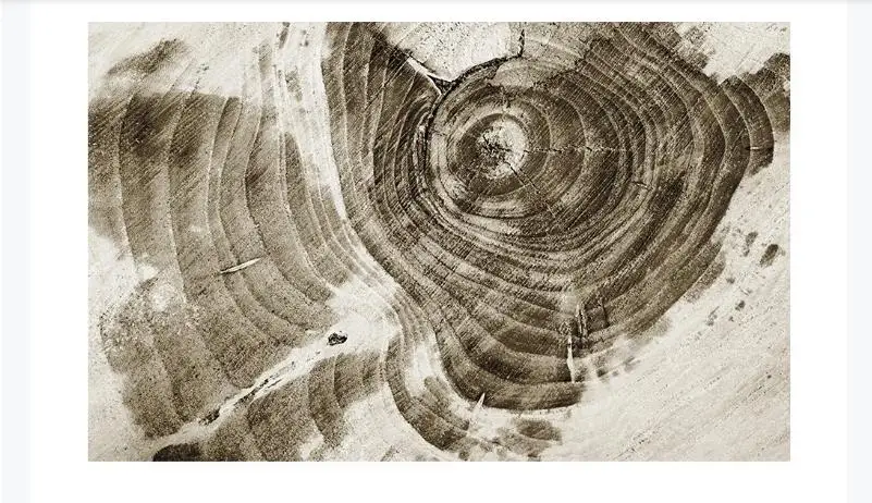 wallpaper 3d chinese style wall murals for living room bedroom vintage brief wood annual rings wallpapers papel de parede free global shipping