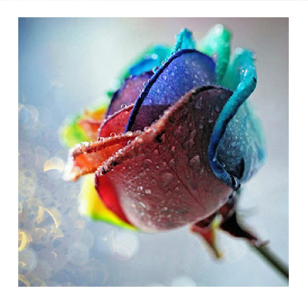 

Полный дизайн 5D алмазная живопись цветок горный хрусталь вышивка крестиком подарок красочная роза цветок алмазная мозаика картина алмазна...