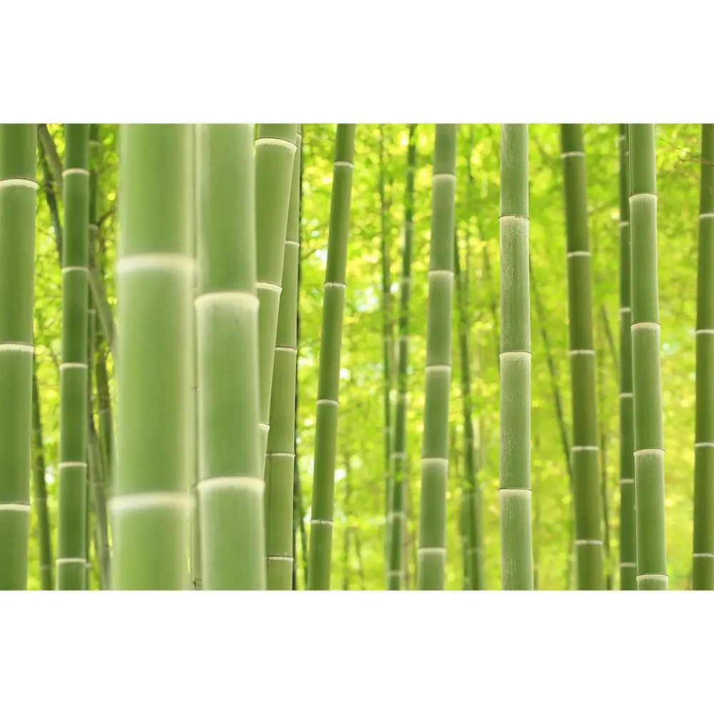 SHENGYONGBAO художественный тканевый фон для фотосъемки на открытом воздухе +