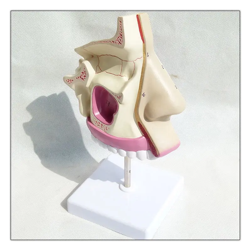 

Educational Equipment & Supplies