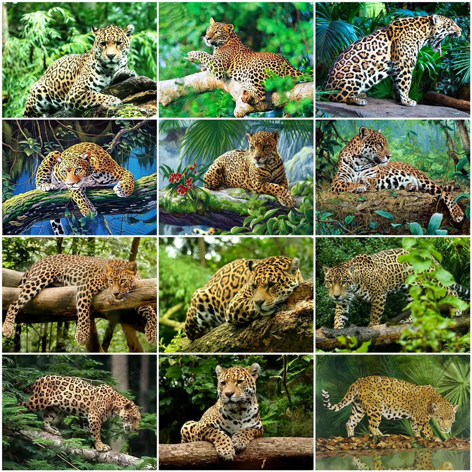 AZQSD Хо DIY картина маслом по номерам на холсте украшение животное Раскраска с