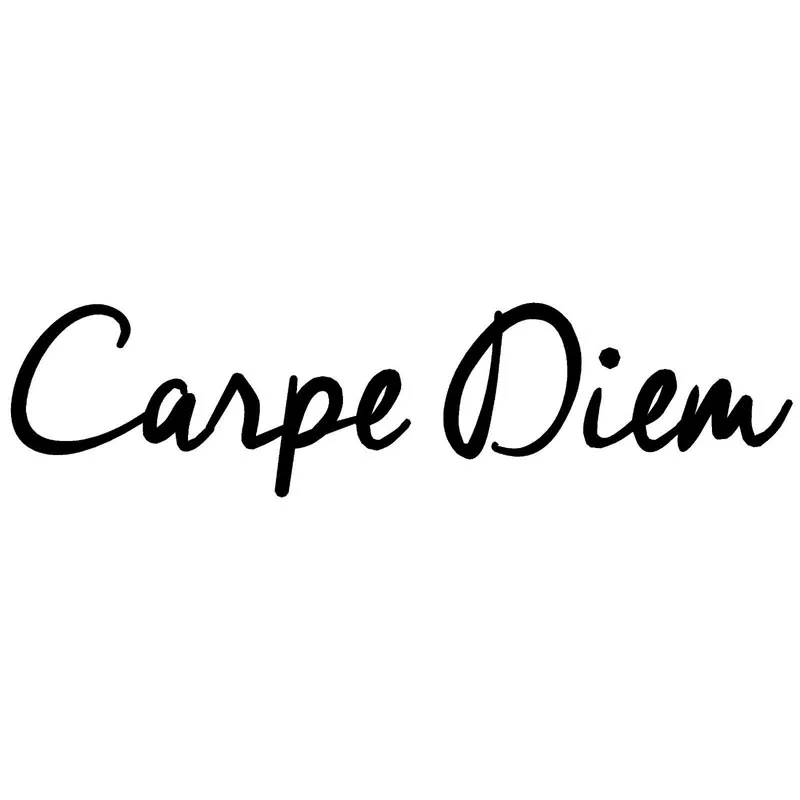 

CARPE DIEM Fashion Text Car Sticker Art Personalized PVC Cars Door Decoration High Quality Waterproof Sunscreen Exquisite Decal
