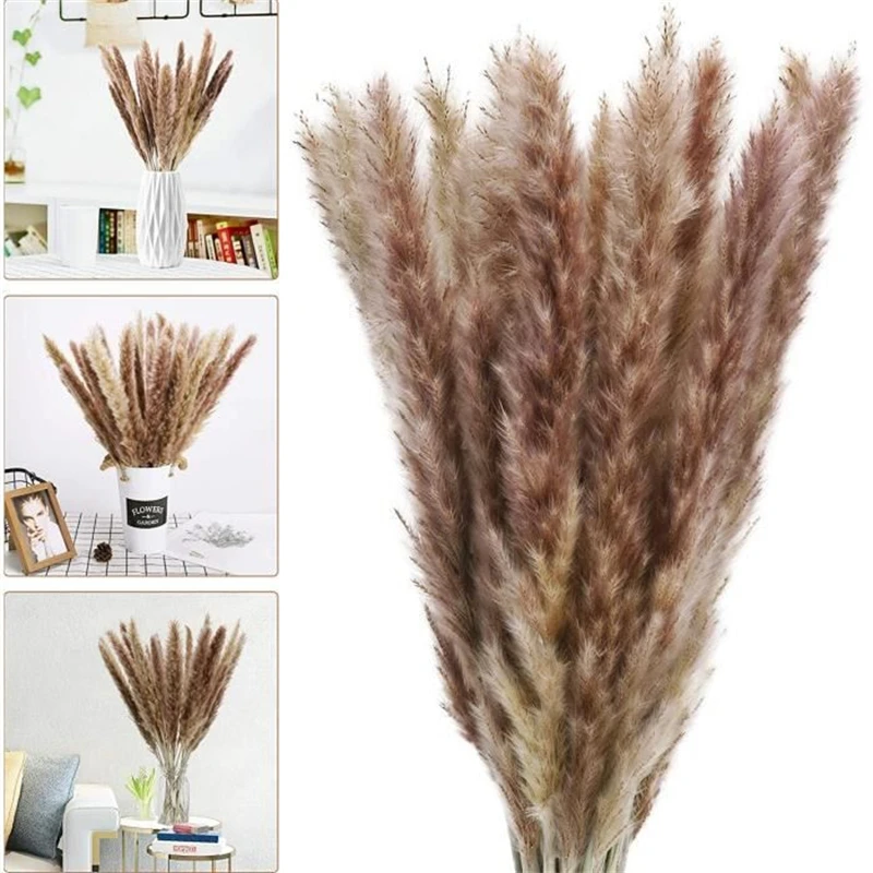 pampa decoration communis phragmites pampas grass large bouquet sechees bulrush wedding arrangement dekoration reeds flower home free global shipping