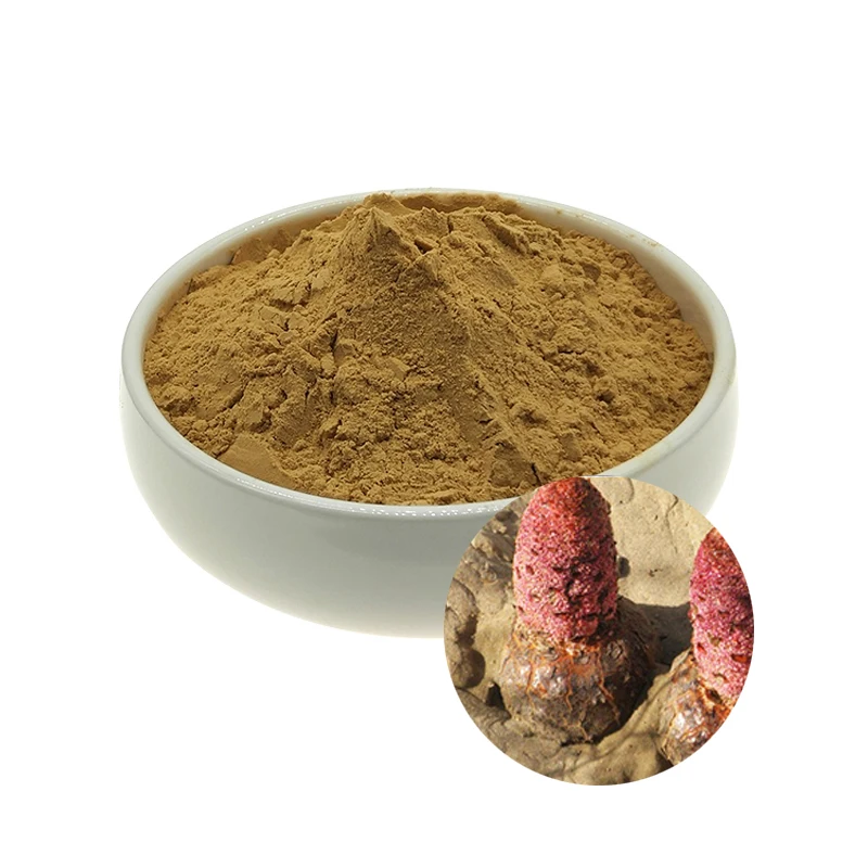 

Natural 50~1000g Cynomorium Songaricum Extract 20:1,Cynomorium Powder