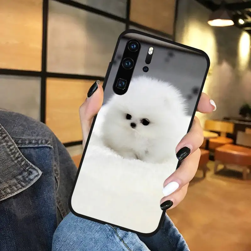 

Hiromi cute dog Phone Case Funda For Huawei P9 P10 P20 P30 Lite 2016 2017 2019 plus pro P smart