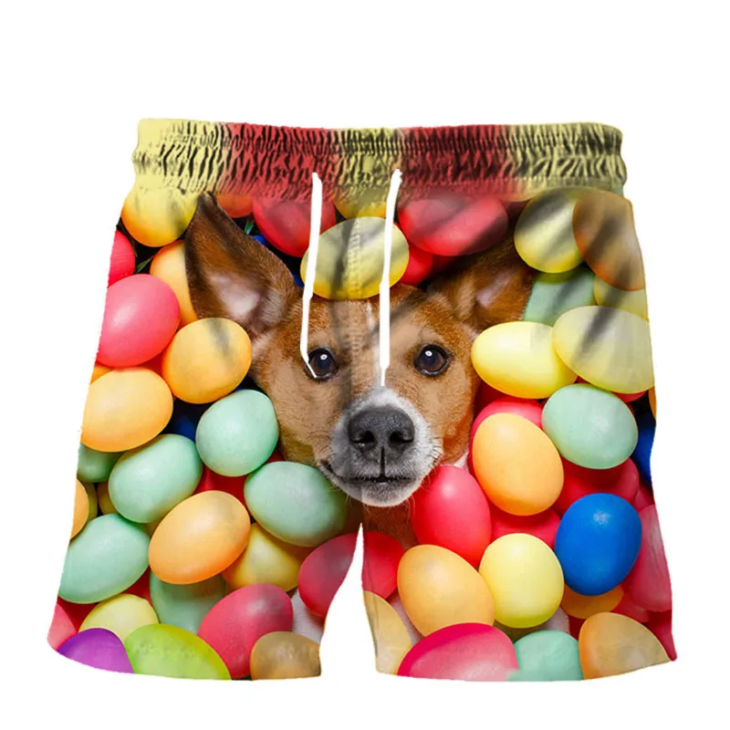 

Summer 3d full print puppy series sports pants casual and comfortable quick-drying shorts unisex fashion beach swimming shorts