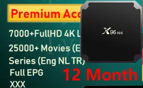 X96MINI With IPTV ESUNTV X96Mini FHD Нидерланды Великобритания Турецкая шведская IPTV приставка Испания Италия Германия нам CA XXX 7000 live 26000 VOD серии HD EPG поддержка - Цвет: X96MINI With IPTV