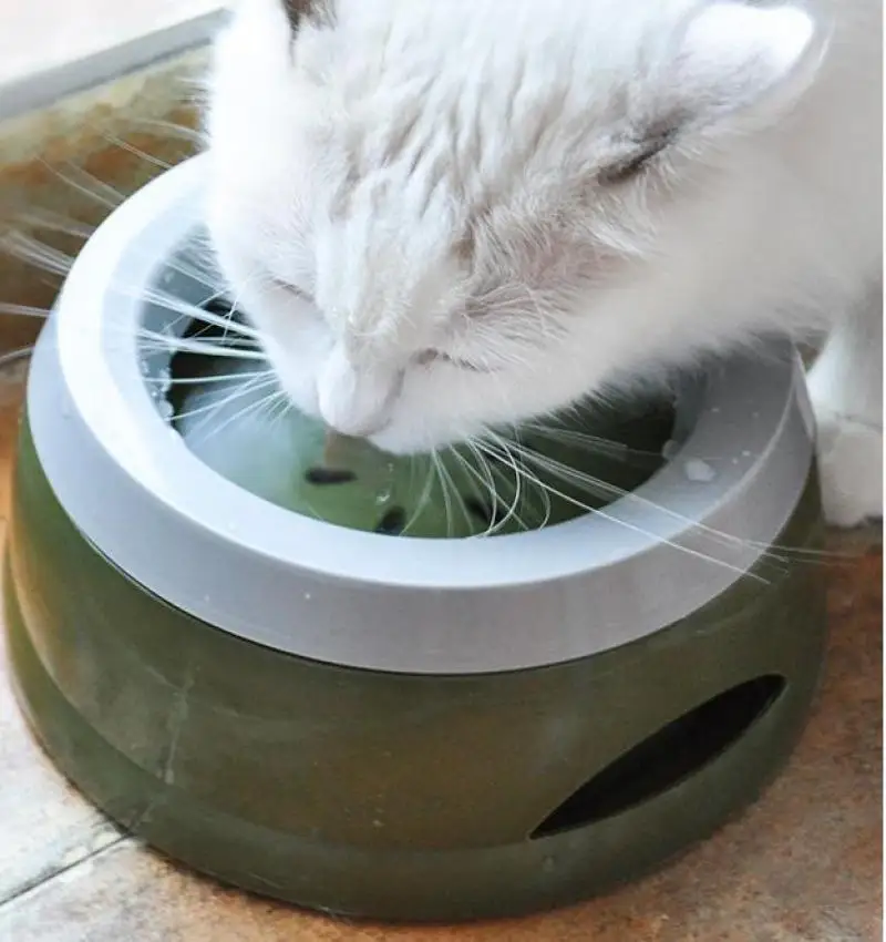 

Dog Travel Water Bowl Pet Slow Water Feeder Suppies Cat Bowl Carried Drinkers Doggy Accessories No-Spill Car Food Bowl Products