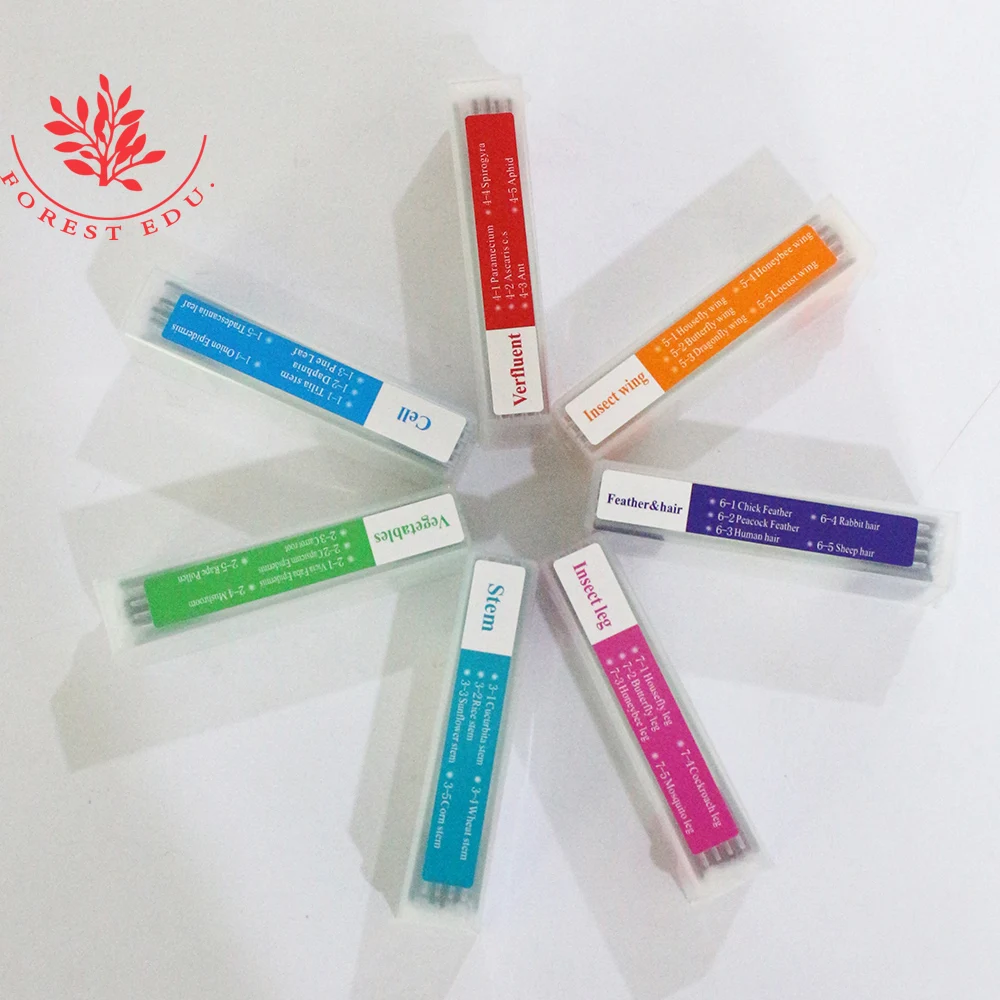 Подготовленные горки для студентов 35 шт. биологический образец искусственные