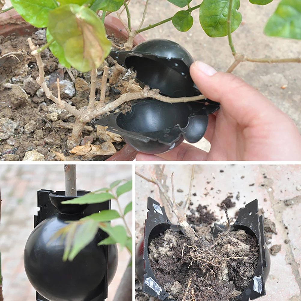 Hot Sale 3pcs Plant Rooting Ball Grafting Growing Box Breeding Case Device High Pressure For Garden | Дом и сад