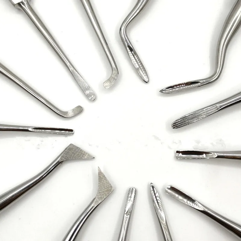 

Teeth Extraction Tooth Extracting Forceps Stainless Steel Curved Root Lift Elevator 13pcs Dental Elevator Set Made in Pakistan