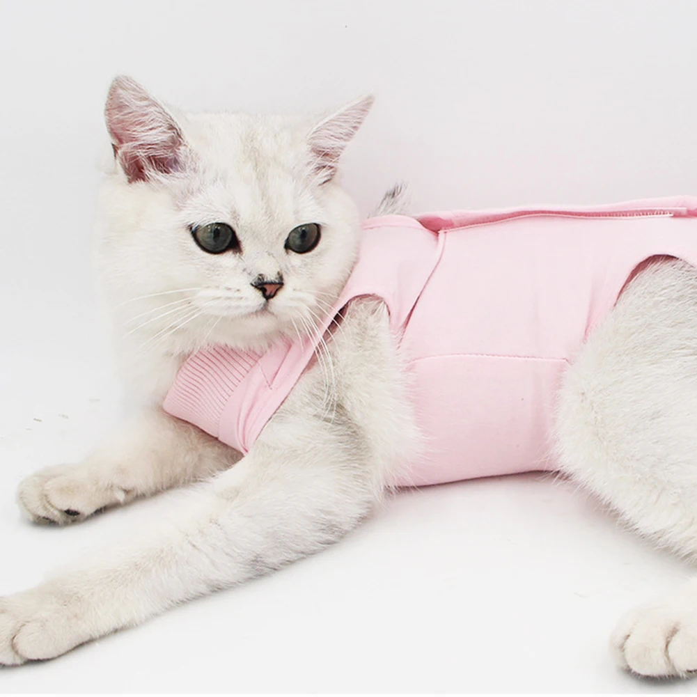 

Практичная одежда для котят, хирургический жилет для кошек, защитный жилет для стерилизации одежды, товары для домашних животных